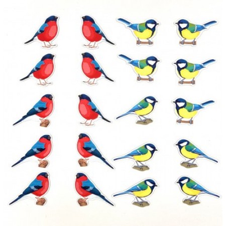 Набор магнитных карточек для устного счёта "Птицы"