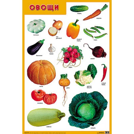 Развивающие плакаты. Овощи